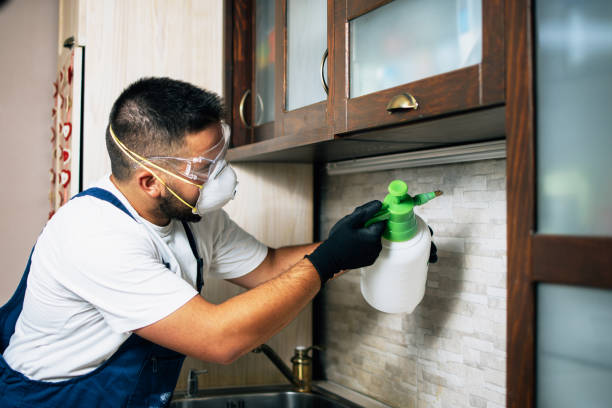 Best Ant Control Services  in Carey, OH
