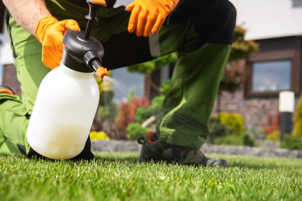 Best Exterminator Services  in Carey, OH