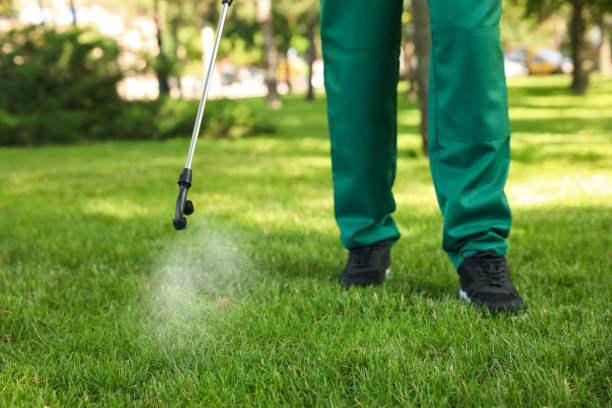 Professional Pest Control in Carey, OH