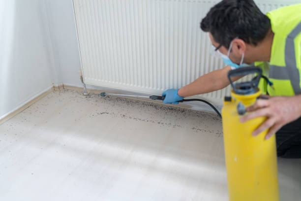 Best Best Pest Control Companies  in Carey, OH